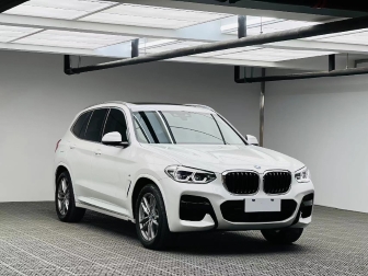 X3   xDrive30i leading model M Tracksuit version
