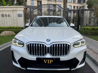 X3  xDrive25i M tracksuit version