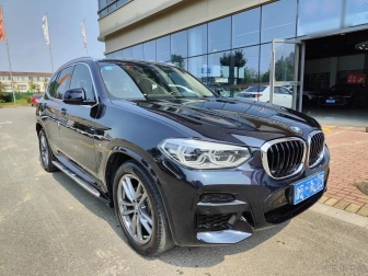 X3   xDrive25i luxury package version
