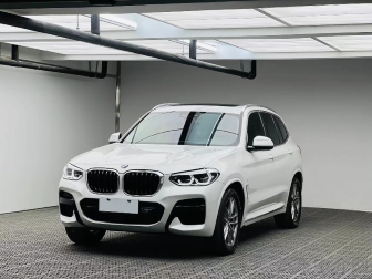 X3   xDrive30i leading model M Tracksuit version