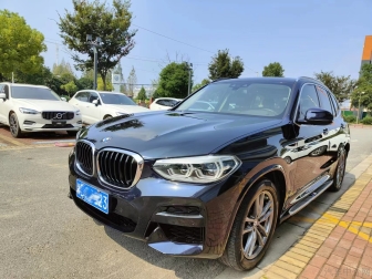 X3   xDrive25i luxury package version