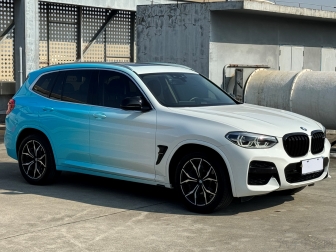 X3  xDrive30i leading model M Tracksuit version