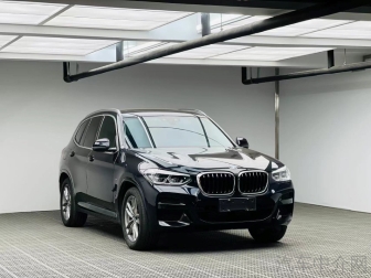 X3   xDrive28i M tracksuit version